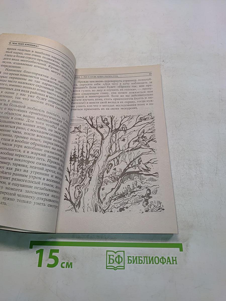 О чем поет кукушка? Наблюдаем за птицами