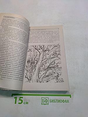 О чем поет кукушка? Наблюдаем за птицами