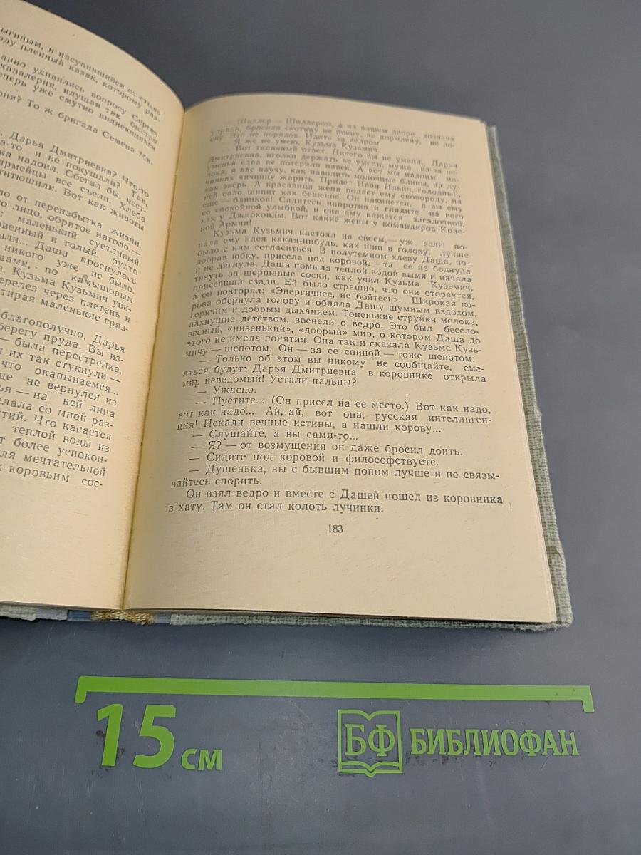 Хождение по мукам. Книга третья