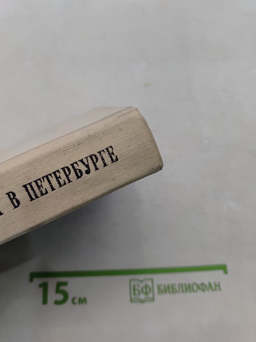 Белинский в Петербурге