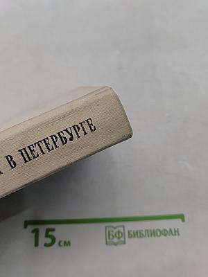 Белинский в Петербурге