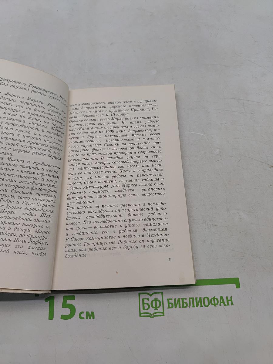 Семья Маркса в письмах