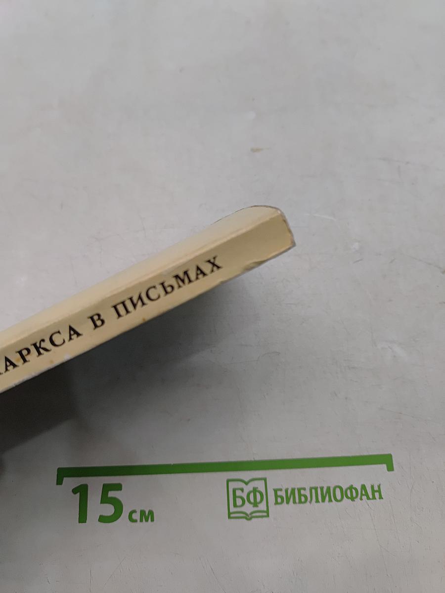 Семья Маркса в письмах