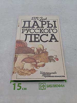 Дары русского леса
