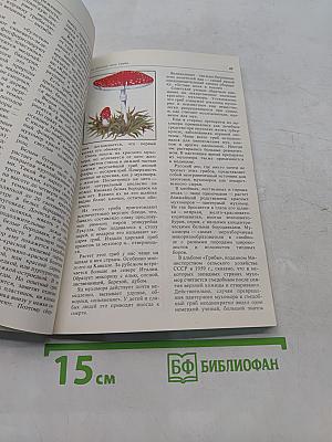 Дары русского леса