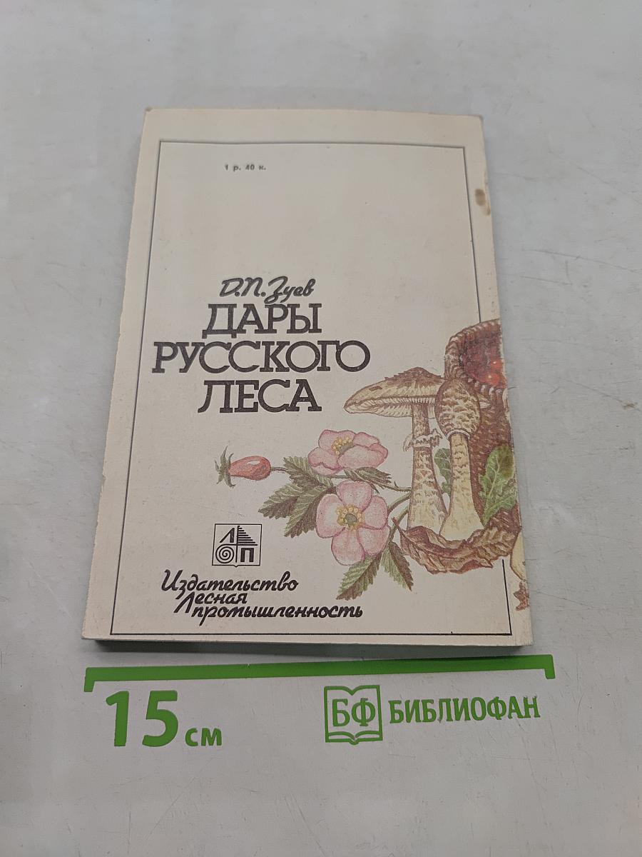 Дары русского леса