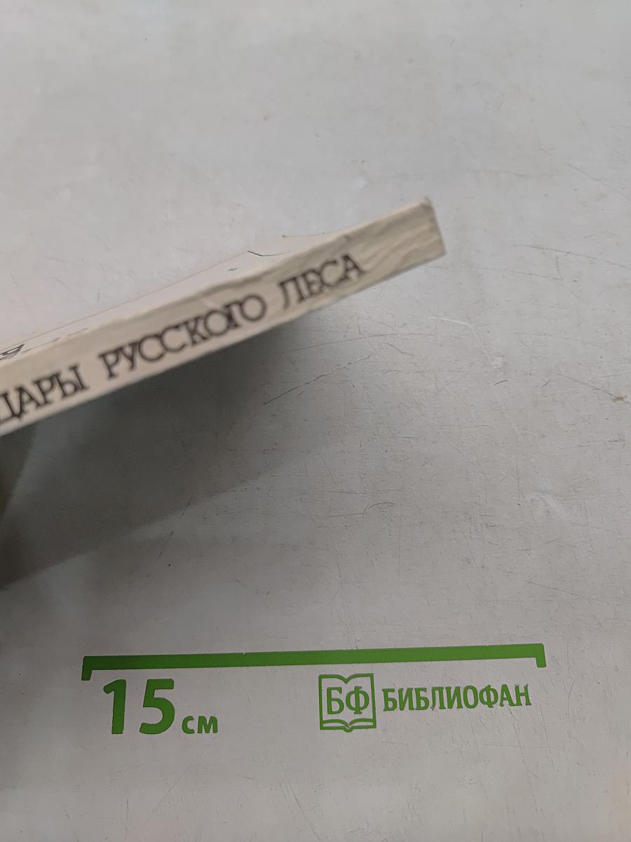 Дары русского леса