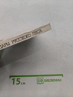 Дары русского леса