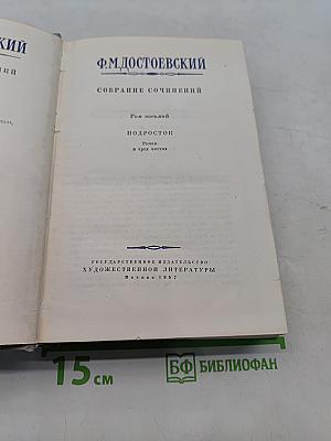 Подросток. Том восьмой