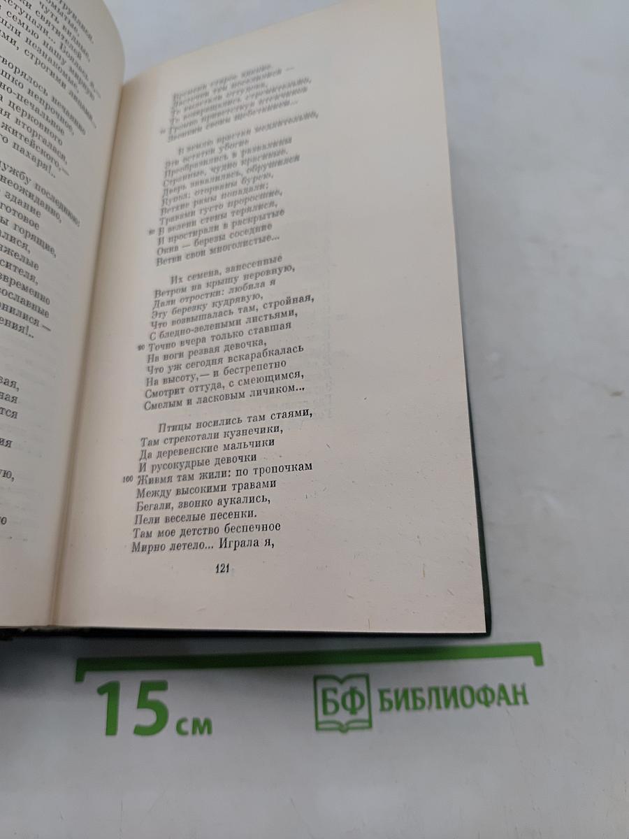 Стихотворения 1866–1877 гг. Том третий