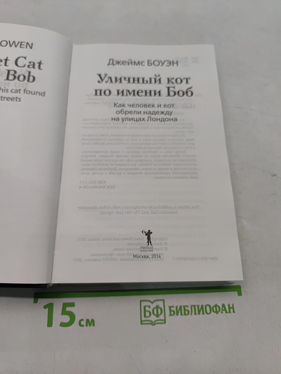 Уличный кот по имени Боб