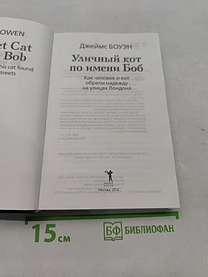 Уличный кот по имени Боб