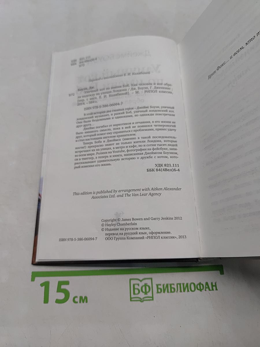 Уличный кот по имени Боб