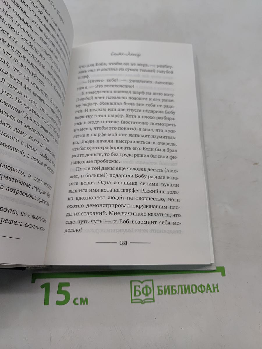 Уличный кот по имени Боб