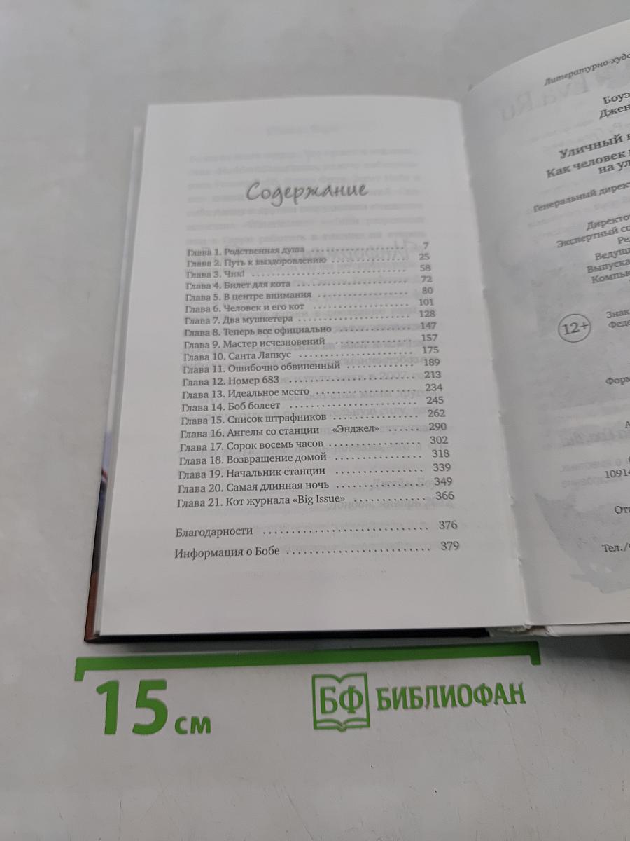 Уличный кот по имени Боб