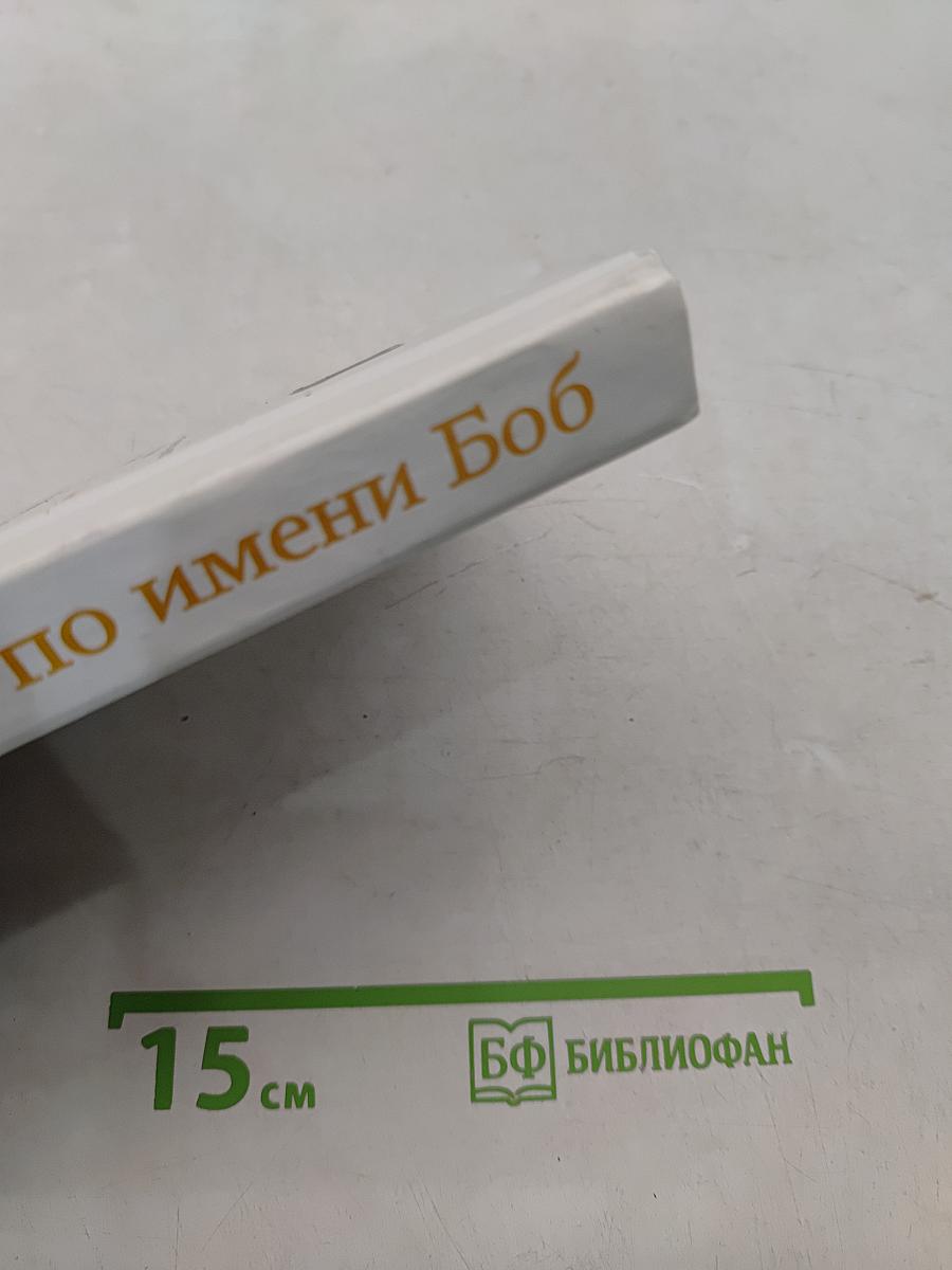 Уличный кот по имени Боб