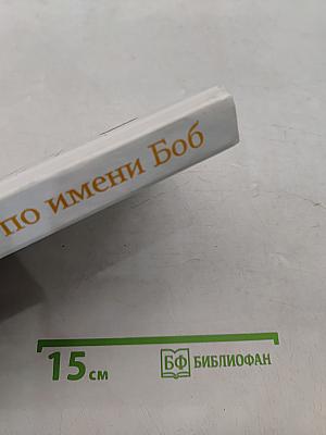Уличный кот по имени Боб