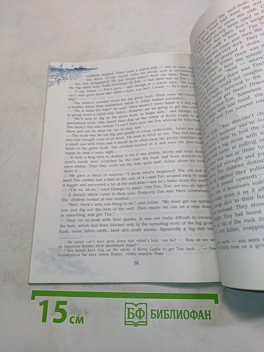 English Reader VII
