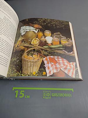 Landschaftsküche von Thüringen bis Mecklenburg