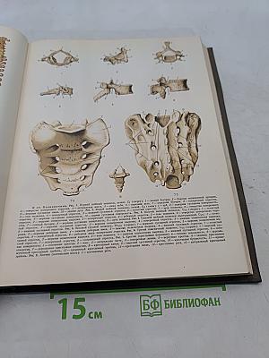 Большая медицинская энциклопедия. Том 20. Пневмопексия — Преднизолон