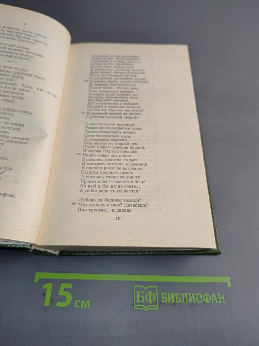 Стихотворения. Поэмы. Том четвертый. 1855-1877 гг.