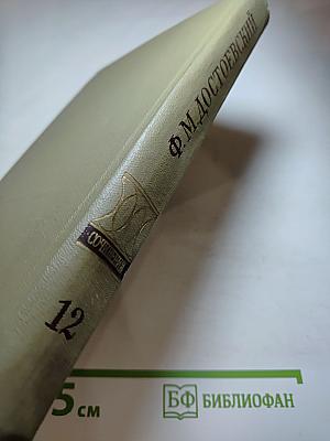 Бесы. Рукописные редакции. Наброски 1870-1872. Том двенадцатый