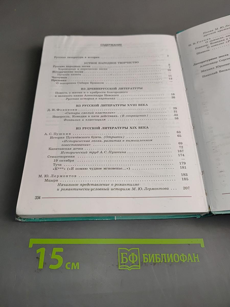Литература. 8 класс. Часть 1