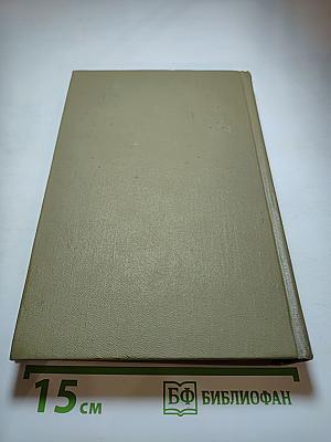 Полное собрание сочинений. Том 13: Подросток