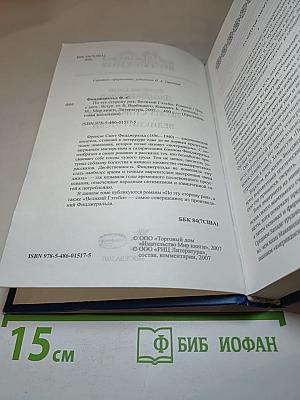 По эту сторону рая; Великий Гэтсби