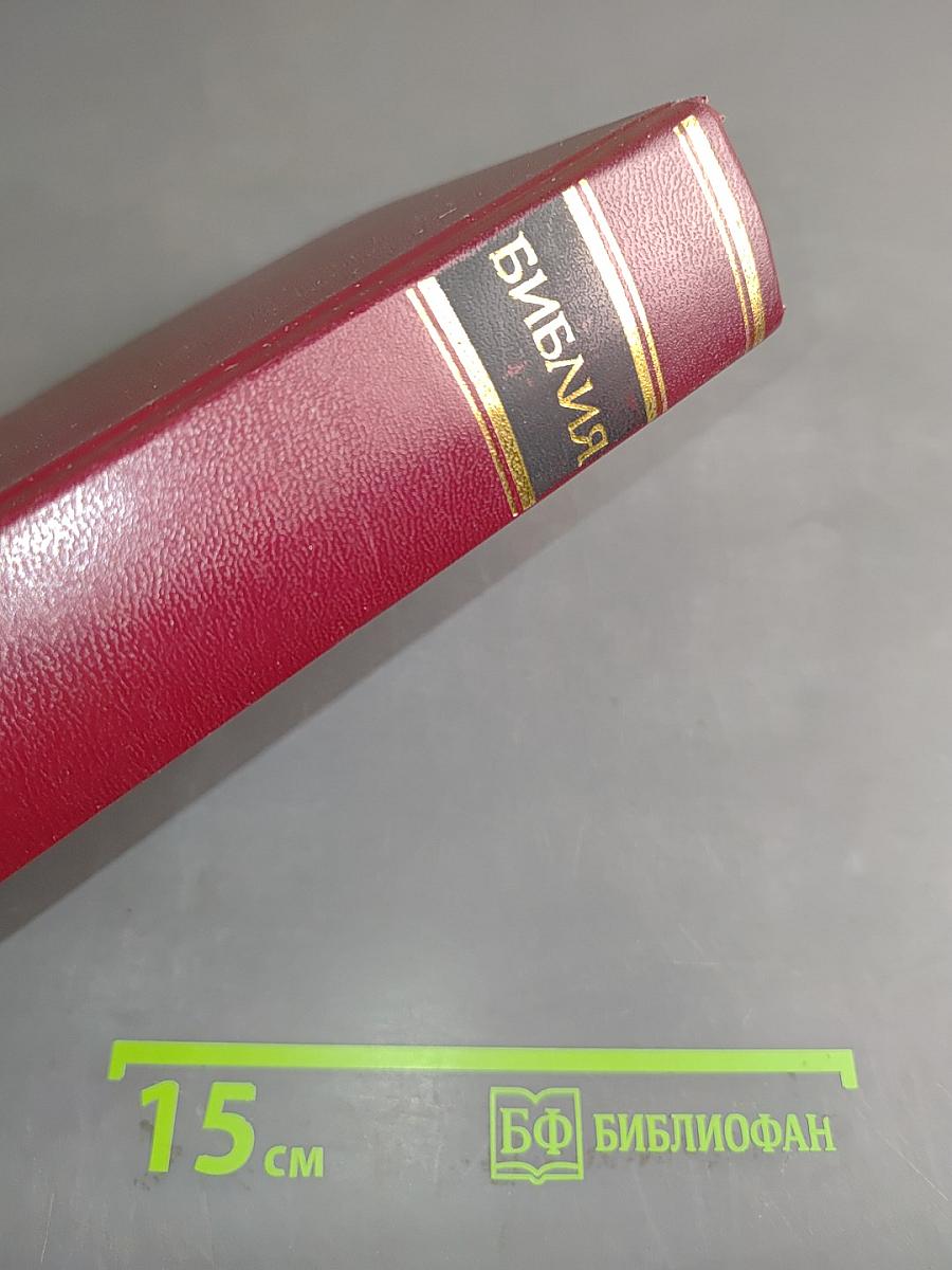 Библия. Книги Священного Писания Ветхого и Нового Завета. Канонические. В русском переводе с параллельными местами и приложениями