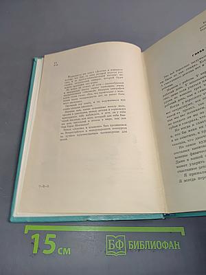 Девочка и птицелет