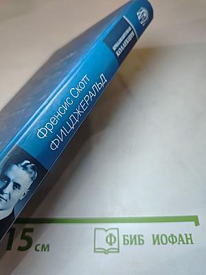 По эту сторону рая; Великий Гэтсби