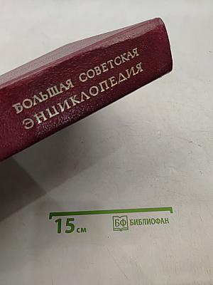 Большая Советская Энциклопедия. Том 10. Ива — Итальянцы