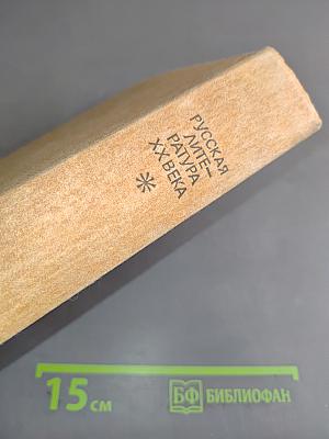 Русская литература XX века. Дооктябрьский период. Хрестоматия