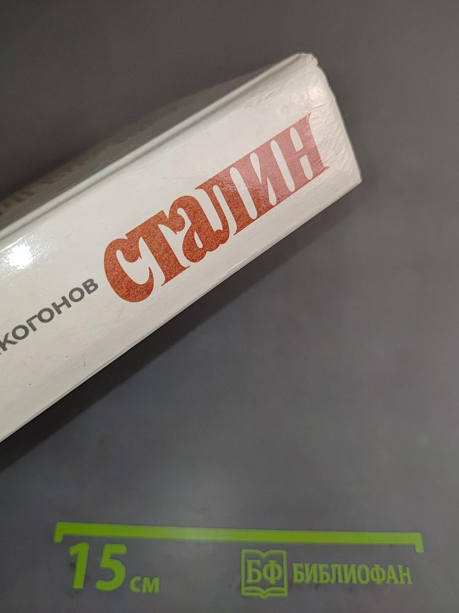Сталин. Политический портрет. Книга 2