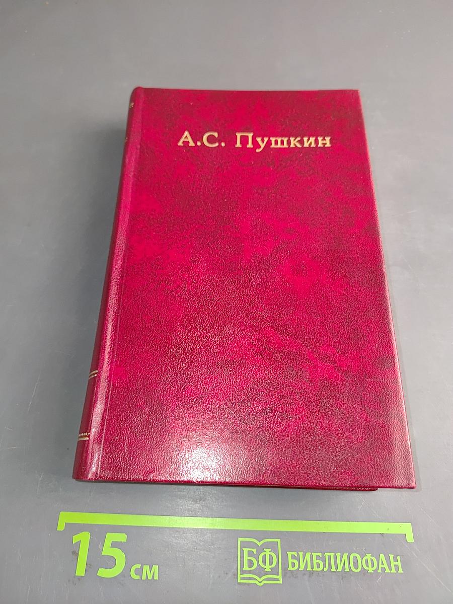 Собрание сочинений. Том шестой. Критика и публицистика