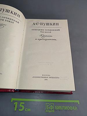 Собрание сочинений. Том шестой. Критика и публицистика