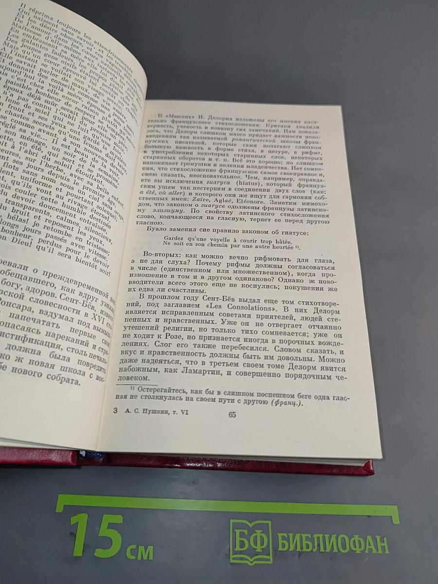 Собрание сочинений. Том шестой. Критика и публицистика