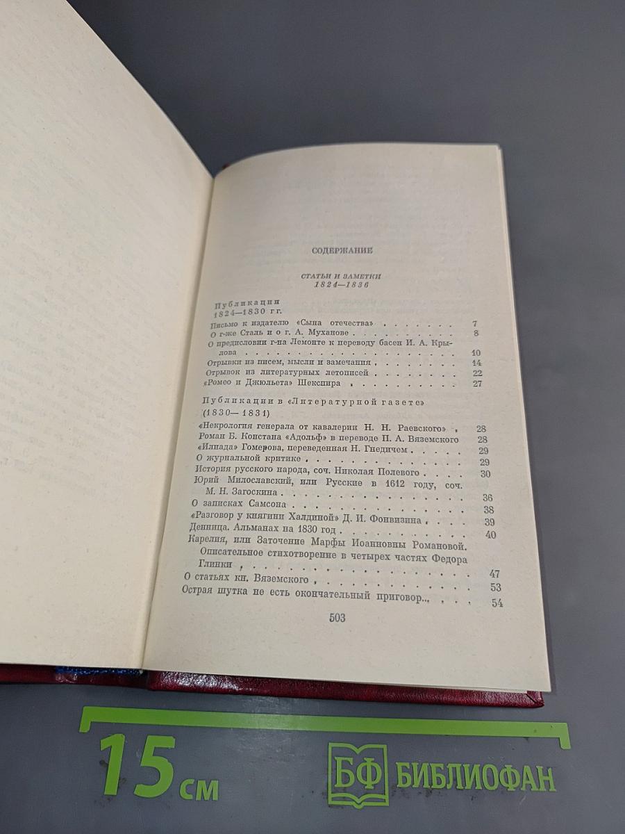 Собрание сочинений. Том шестой. Критика и публицистика