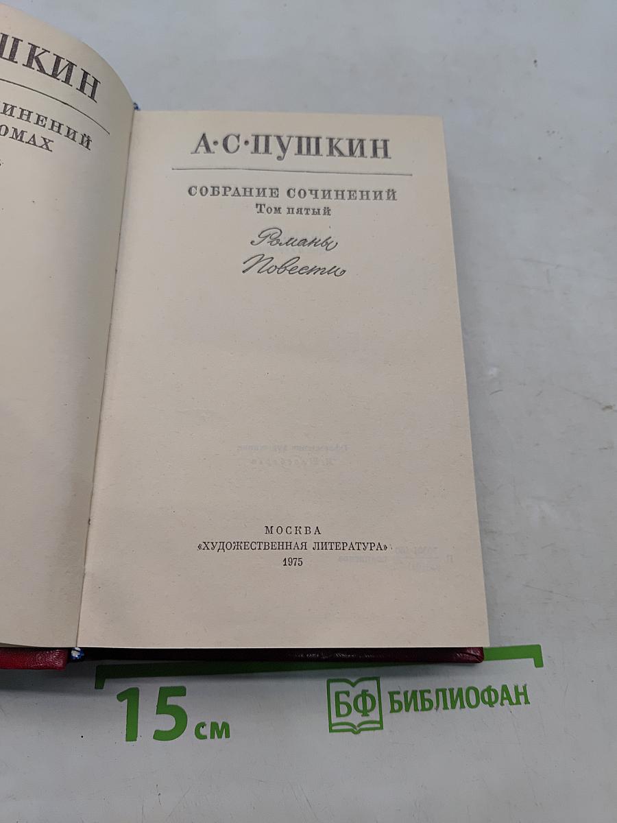 Собрание сочинений. Том пятый. Романы и повести