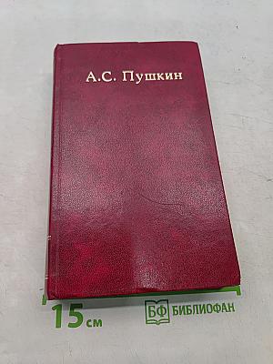 Собрание сочинений. Том пятый. Романы и повести
