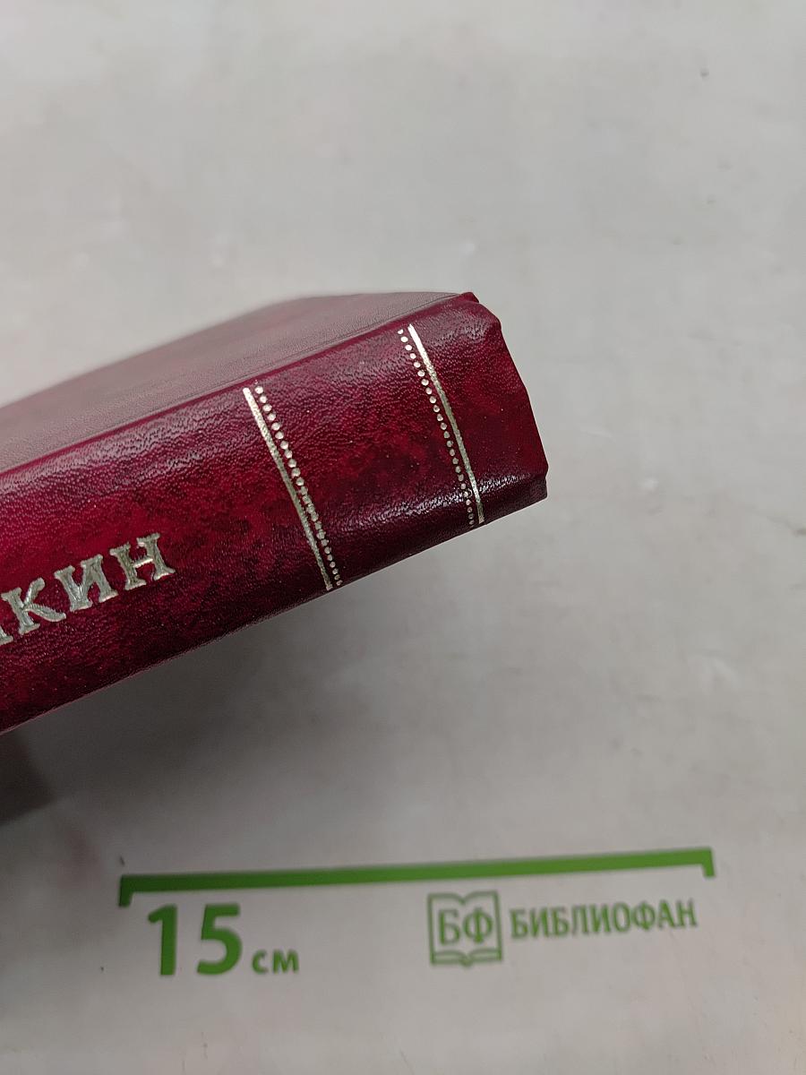 Собрание сочинений. Том пятый. Романы и повести