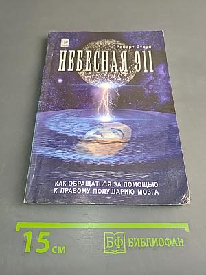 Небесная 911