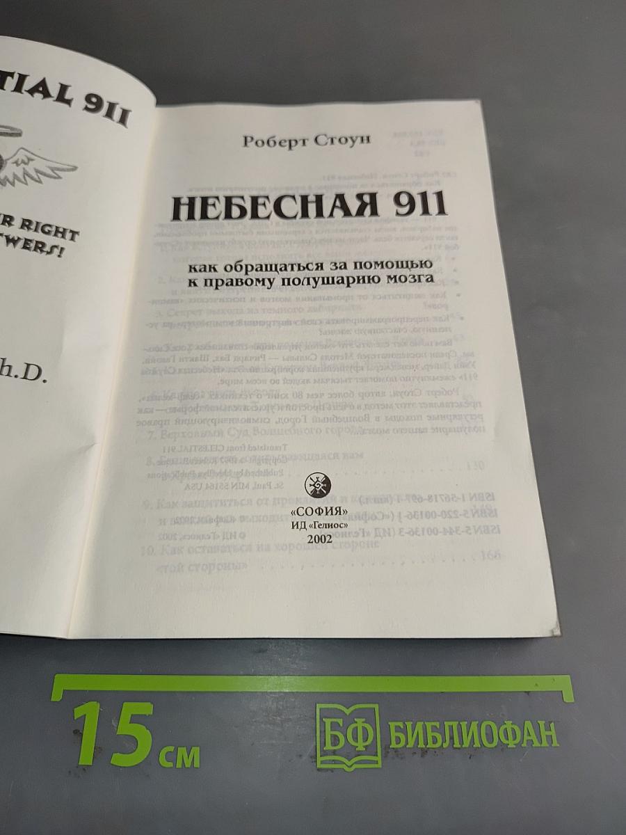Небесная 911