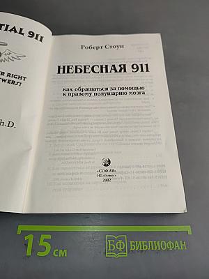 Небесная 911