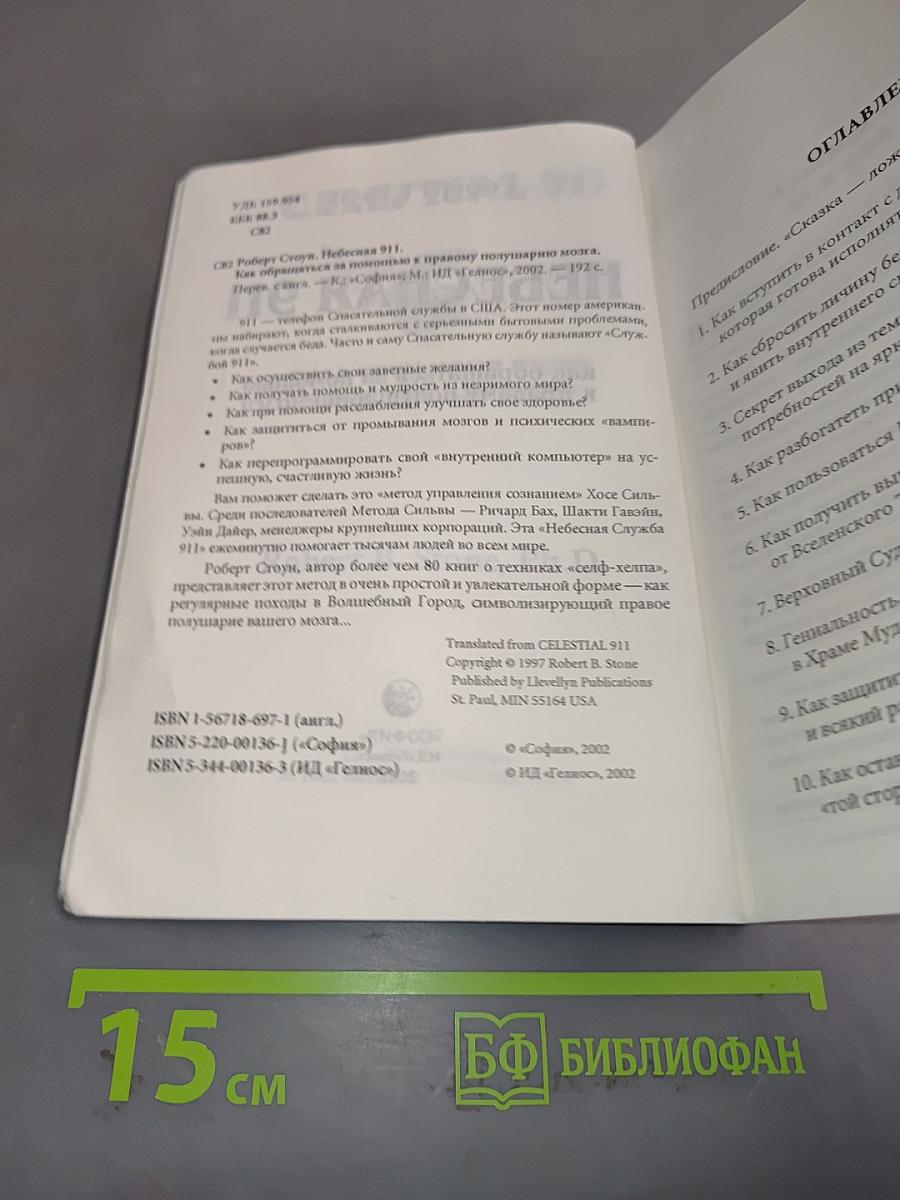 Небесная 911