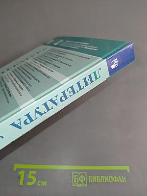 Литература. 8 класс. Часть 2