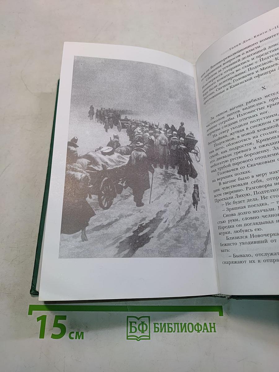 Тихий Дон. Роман в четырех книгах. Книги I-II. Книга вторая