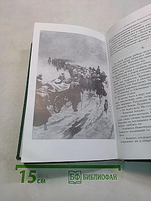 Тихий Дон. Роман в четырех книгах. Книги I-II. Книга вторая