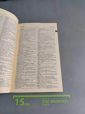 New Webster's Dictionary